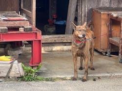 おきなわワールドに投稿された画像（2026/3/13）