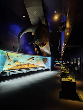 環境水族館アクアマリンふくしまに投稿された画像（2026/3/13）