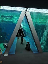 環境水族館アクアマリンふくしまに投稿された画像（2026/3/13）