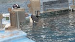 名古屋港水族館に投稿された画像（2026/3/13）