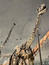 福井県立恐竜博物館に投稿された画像（2026/3/13）