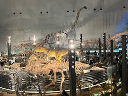 福井県立恐竜博物館に投稿された画像（2026/3/13）