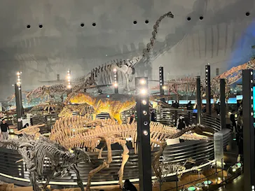 福井県立恐竜博物館に投稿された画像（2026/3/13）