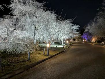 京都府立植物園　LIGHT CYCLES KYOTOに投稿された画像（2026/3/13）