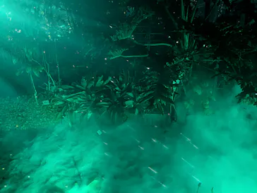 京都府立植物園　LIGHT CYCLES KYOTOに投稿された画像（2026/3/13）