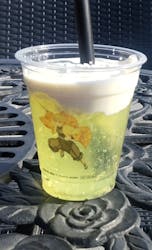 博物館 明治村に投稿された画像（2026/3/13）