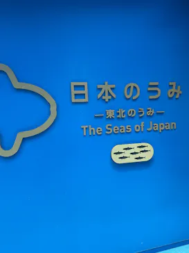 仙台うみの杜水族館に投稿された画像（2026/3/13）