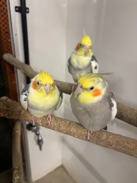 アニタッチ 東京ドームシティに投稿された画像（2026/3/13）