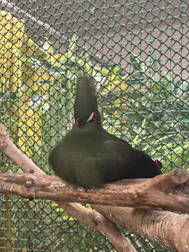 アニタッチ 東京ドームシティに投稿された画像（2026/3/13）