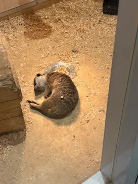 アニタッチ 東京ドームシティに投稿された画像（2026/3/13）