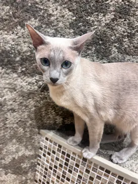 いぬカフェRio イオンモール常滑店に投稿された画像（2026/3/13）