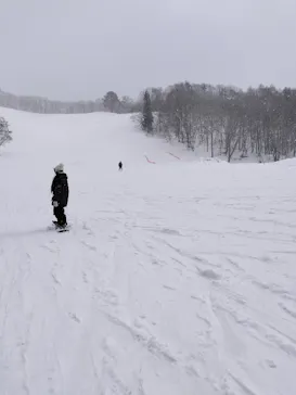 水上高原 藤原スキー場に投稿された画像（2026/3/13）