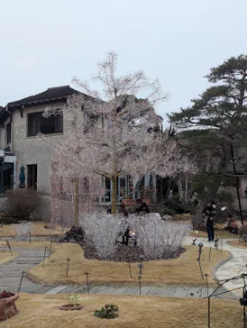 箱根ガラスの森美術館に投稿された画像（2026/3/13）