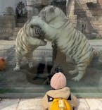 東武動物公園に投稿された画像（2026/3/13）