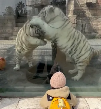 東武動物公園に投稿された画像（2026/3/13）