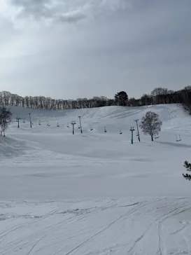 水上高原 藤原スキー場に投稿された画像（2026/3/13）