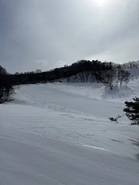 水上高原 藤原スキー場に投稿された画像（2026/3/13）