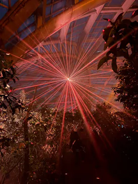 京都府立植物園　LIGHT CYCLES KYOTOに投稿された画像（2026/3/13）