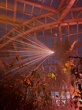 京都府立植物園　LIGHT CYCLES KYOTOに投稿された画像（2026/3/13）