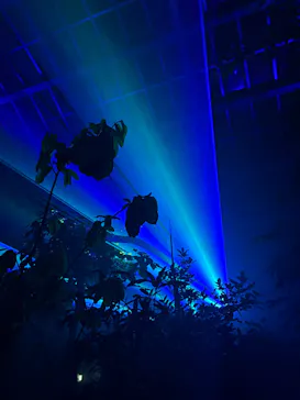 京都府立植物園　LIGHT CYCLES KYOTOに投稿された画像（2026/3/13）