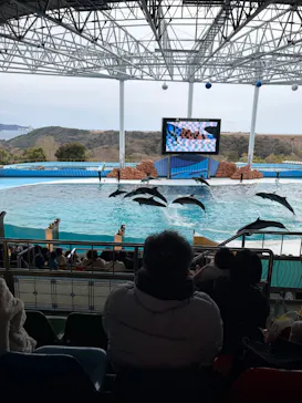 アドベンチャーワールドに投稿された画像（2026/3/13）