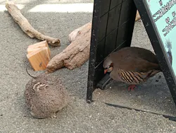 掛川花鳥園に投稿された画像（2026/3/13）