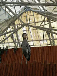 掛川花鳥園に投稿された画像（2026/3/13）