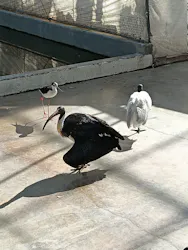 掛川花鳥園に投稿された画像（2026/3/13）