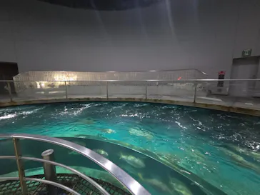 城崎マリンワールドに投稿された画像（2026/3/14）