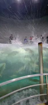 城崎マリンワールドに投稿された画像（2026/3/14）