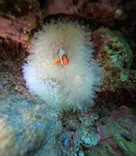 武藤潜水に投稿された画像（2026/3/14）