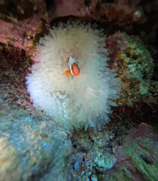 武藤潜水に投稿された画像（2026/3/14）