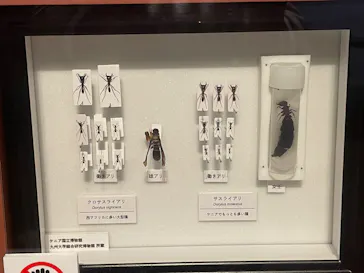 特別展「超危険生物展　科学で挑む生き物の本気」に投稿された画像（2026/3/14）