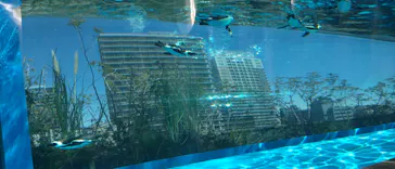 サンシャイン水族館に投稿された画像（2026/3/14）