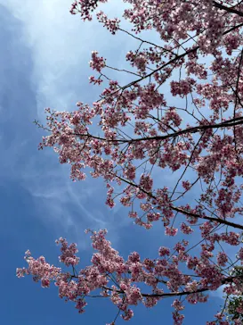 伊豆ぐらんぱる公園に投稿された画像（2026/3/14）