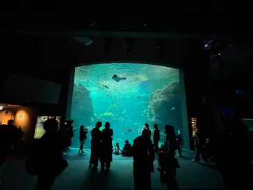 新江ノ島水族館に投稿された画像（2026/3/14）