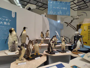 特別展「鳥 ～ゲノム解析が解き明かす新しい鳥類の系統～」に投稿された画像（2026/3/14）