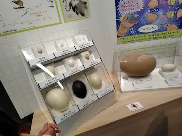 特別展「鳥 ～ゲノム解析が解き明かす新しい鳥類の系統～」に投稿された画像（2026/3/14）