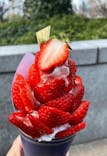 OSAKA Strawberry Festivalに投稿された画像（2026/3/14）