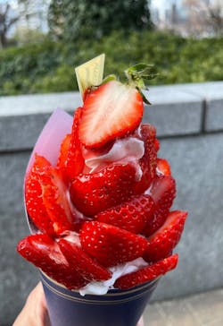 OSAKA Strawberry Festivalに投稿された画像（2026/3/14）