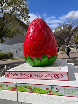 OSAKA Strawberry Festivalに投稿された画像（2026/3/14）