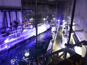 大分マリーンパレス水族館 「うみたまご」に投稿された画像（2026/3/14）