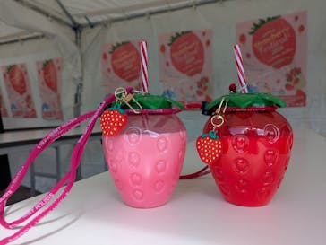 OSAKA Strawberry Festivalに投稿された画像（2026/3/14）