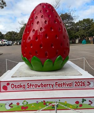 OSAKA Strawberry Festivalに投稿された画像（2026/3/14）
