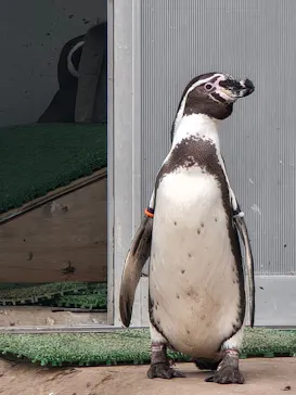 群馬サファリパークに投稿された画像（2026/3/14）