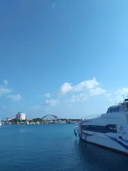 島風ライドに投稿された画像（2026/3/14）