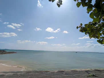 島風ライドに投稿された画像（2026/3/14）