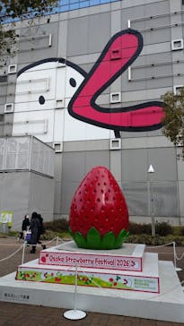 OSAKA Strawberry Festivalに投稿された画像（2026/3/14）