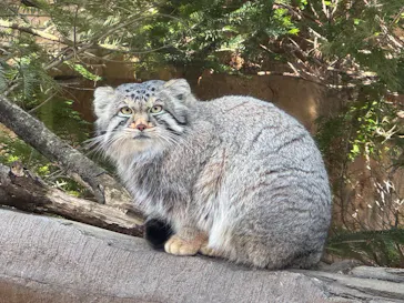 那須どうぶつ王国に投稿された画像（2026/3/14）