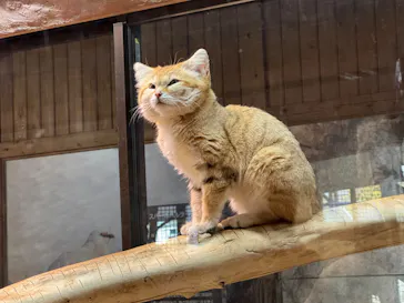 那須どうぶつ王国に投稿された画像（2026/3/14）